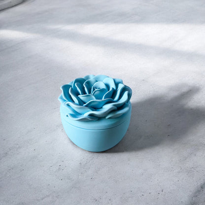 Blooming Rose
