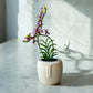 Botanical Bliss Pot