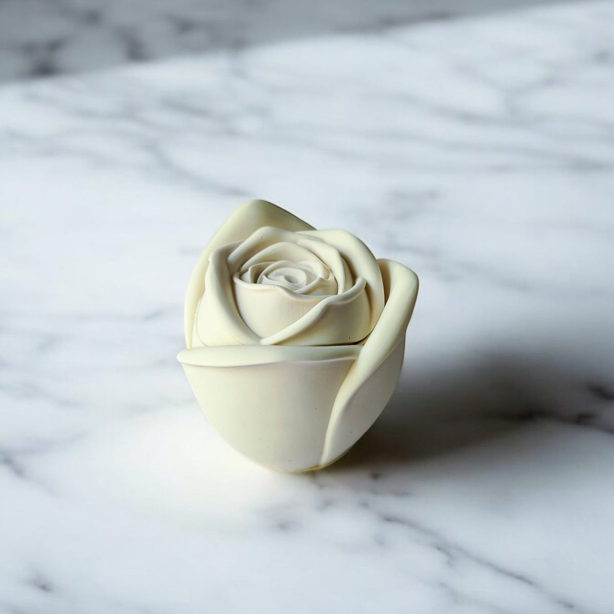 Everlasting Rose