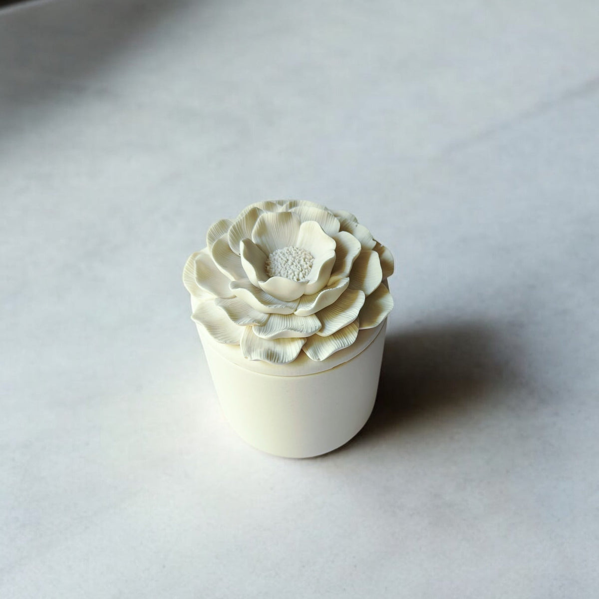 Camellia Glow
