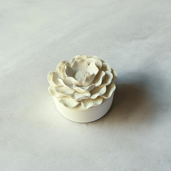 Camellia Glow