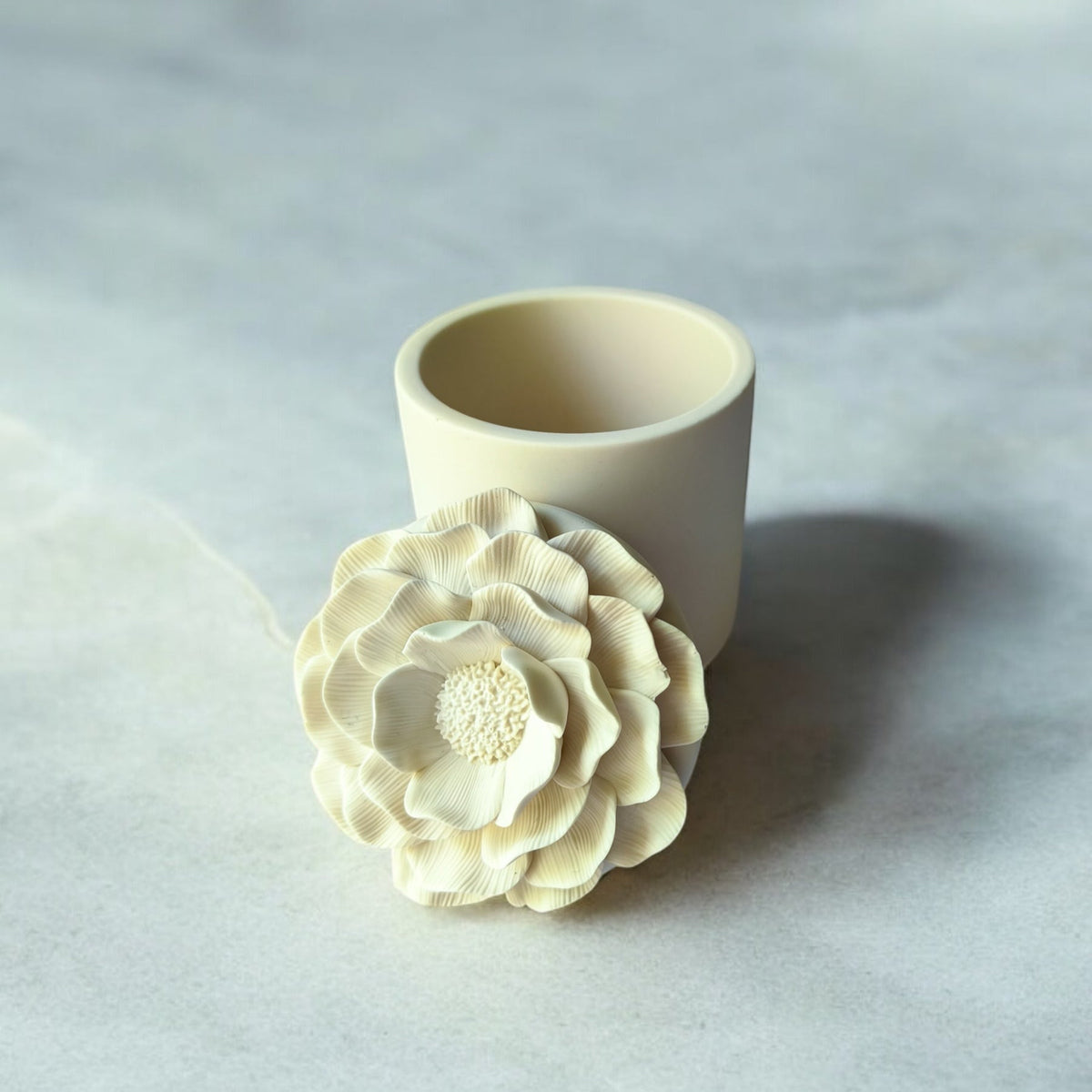 Camellia Glow