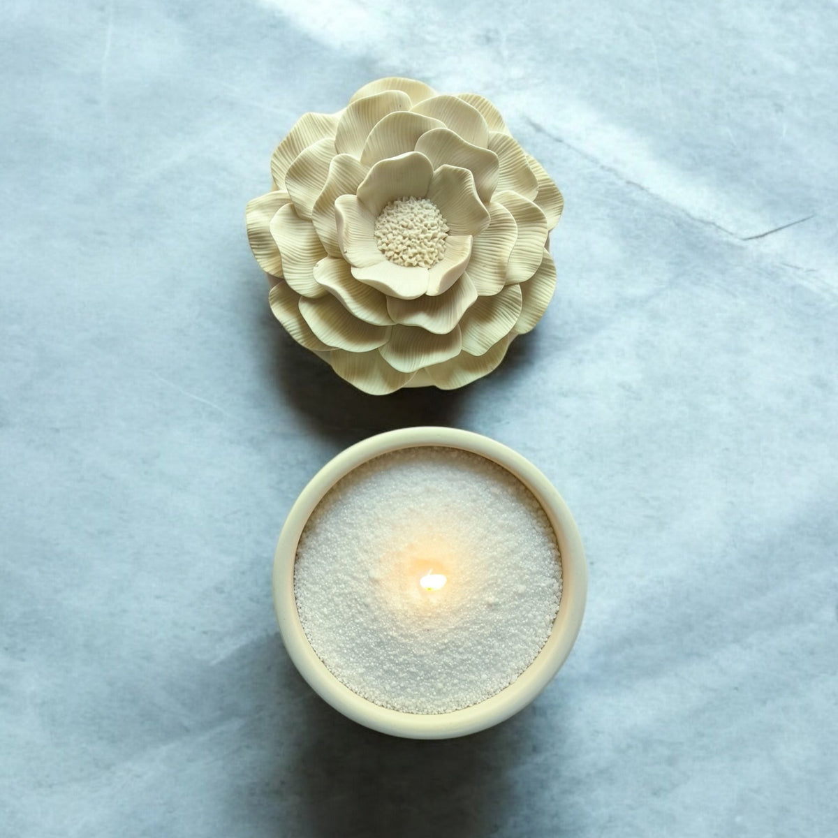 Camellia Glow