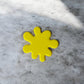 Splash Coasters
