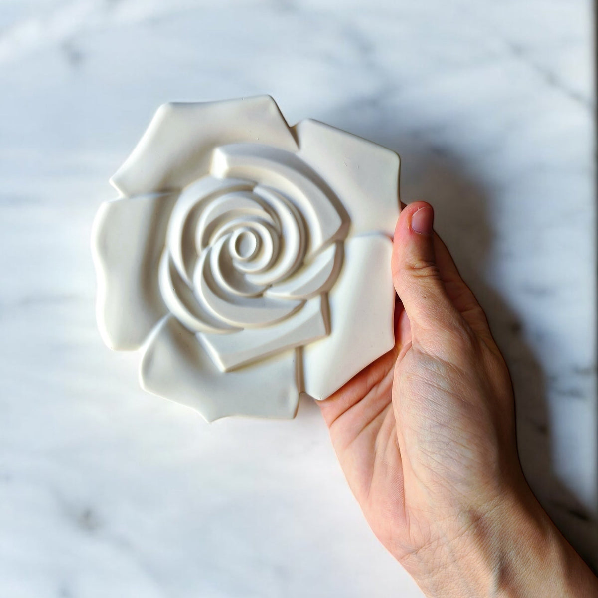 Cozy Petals