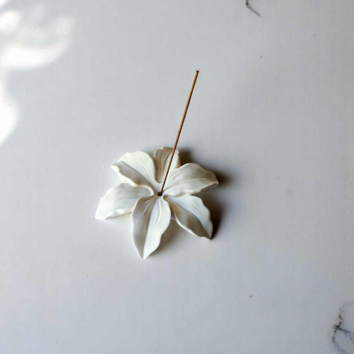 Lily of the Valley